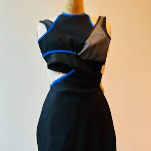 Alexander Wang & H&M Dress